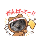 たいちゃんとなぎちゃんのスタンプ（個別スタンプ：7）
