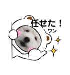 たいちゃんとなぎちゃんのスタンプ（個別スタンプ：9）