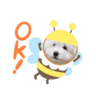 たいちゃんとなぎちゃんのスタンプ（個別スタンプ：12）