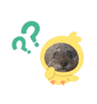 たいちゃんとなぎちゃんのスタンプ（個別スタンプ：13）