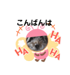 たいちゃんとなぎちゃんのスタンプ（個別スタンプ：15）