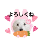 たいちゃんとなぎちゃんのスタンプ（個別スタンプ：18）