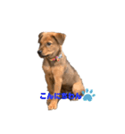 愛犬Chériと素敵なお友達（個別スタンプ：2）
