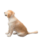 愛犬Chériと素敵なお友達（個別スタンプ：23）