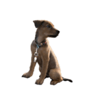愛犬Chériと素敵なお友達（個別スタンプ：24）