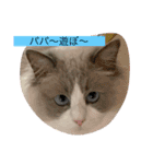 ラウルとメイリーの日常（個別スタンプ：1）