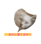 ラウルとメイリーの日常（個別スタンプ：2）