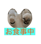 ラウルとメイリーの日常（個別スタンプ：3）
