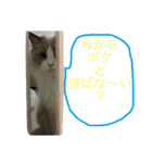 ラウルとメイリーの日常（個別スタンプ：4）