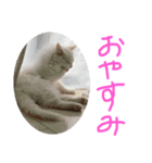 ラウルとメイリーの日常（個別スタンプ：12）