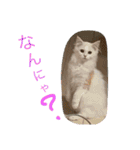ラウルとメイリーの日常（個別スタンプ：15）