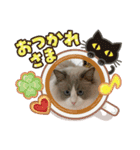 ラウルとメイリーの日常（個別スタンプ：21）