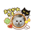 ラウルとメイリーの日常（個別スタンプ：22）