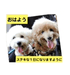 殿若11（個別スタンプ：1）
