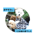 殿若11（個別スタンプ：2）