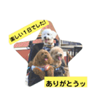 殿若11（個別スタンプ：3）