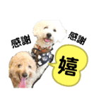 殿若11（個別スタンプ：7）