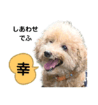 殿若11（個別スタンプ：8）