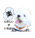 殿若11（個別スタンプ：9）