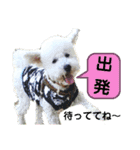 殿若11（個別スタンプ：10）