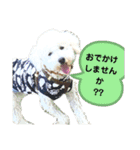 殿若11（個別スタンプ：13）