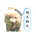 殿若11（個別スタンプ：15）