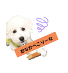 殿若11（個別スタンプ：18）