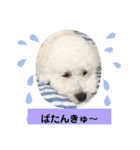 殿若11（個別スタンプ：19）