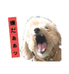 殿若11（個別スタンプ：22）