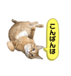 松風だらけ②（個別スタンプ：4）