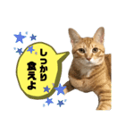 松風だらけ②（個別スタンプ：12）