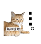 松風だらけ②（個別スタンプ：15）