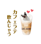 なつきのはるお4（個別スタンプ：19）