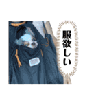 なつきのはるお4（個別スタンプ：21）