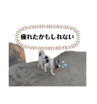 なつきのはるお4（個別スタンプ：30）