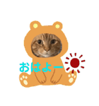 ペットのタイガーちゃん（個別スタンプ：1）