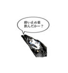 武竜丸のタチウオスタンプ！（個別スタンプ：10）