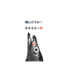 武竜丸のタチウオスタンプ！（個別スタンプ：13）