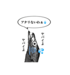 武竜丸のタチウオスタンプ！（個別スタンプ：16）