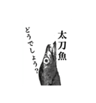武竜丸のタチウオスタンプ！（個別スタンプ：22）