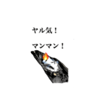 武竜丸のタチウオスタンプ！（個別スタンプ：26）