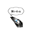 武竜丸のタチウオスタンプ！（個別スタンプ：37）