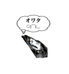 武竜丸のタチウオスタンプ！（個別スタンプ：38）