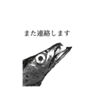 武竜丸のタチウオスタンプ！（個別スタンプ：39）