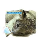 いろいろな動物達なの（個別スタンプ：3）