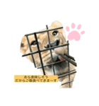 いろいろな動物達なの（個別スタンプ：4）