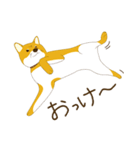 柴犬ぽん太の日常（個別スタンプ：4）