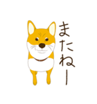 柴犬ぽん太の日常（個別スタンプ：18）