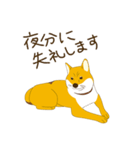 柴犬ぽん太の日常（個別スタンプ：33）