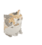透明水彩 - 三毛猫 -（個別スタンプ：2）